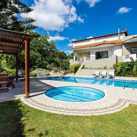 Alonia Villa, Refined Living With 50M2 Private Pool, By Thinkvilla Melidhónion 外观 照片
